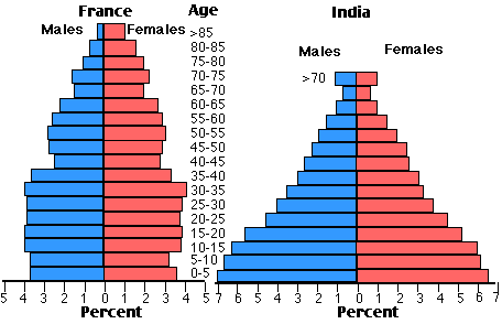 the charts below compare the age structure of the populations of France and India in 1984