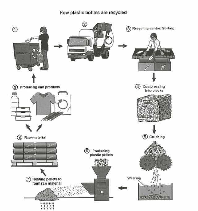 The diagram below shows the process for recycling plastic bottles. 

Summarise the information by selecting and repotring the main features, and make comparisons where relevant.