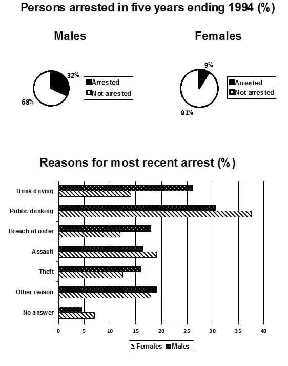The pie chart shows the percentage of persons arrested in the five years ending 1994 and the bar chart shows the most recent reasons for arrest.