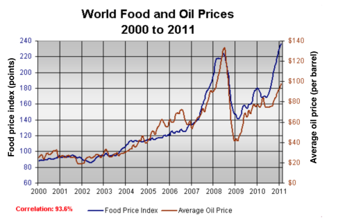 The graph below shows changes in global food and oil prices between 2000 and 2011.

Summarise the information by selecting and reporting the main features and make comparisons where relevant.