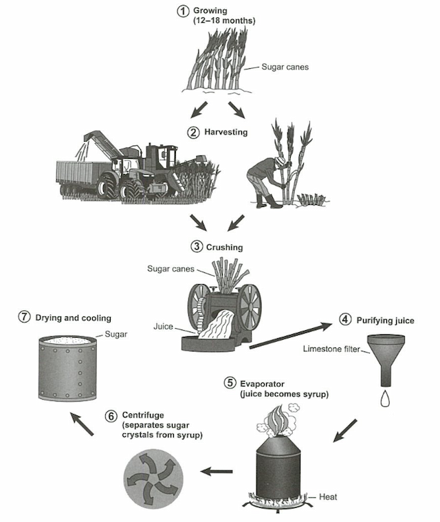 The diagram below shows the process for recycling plastic bottles.

Summarize the information by selecting and reporting the main features, and make comparisons where relevant.